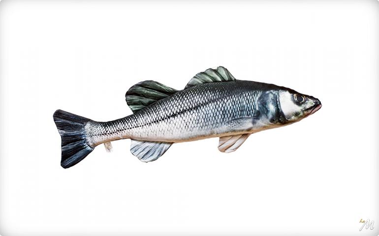 Cuscino Spigola (Sea Bass)