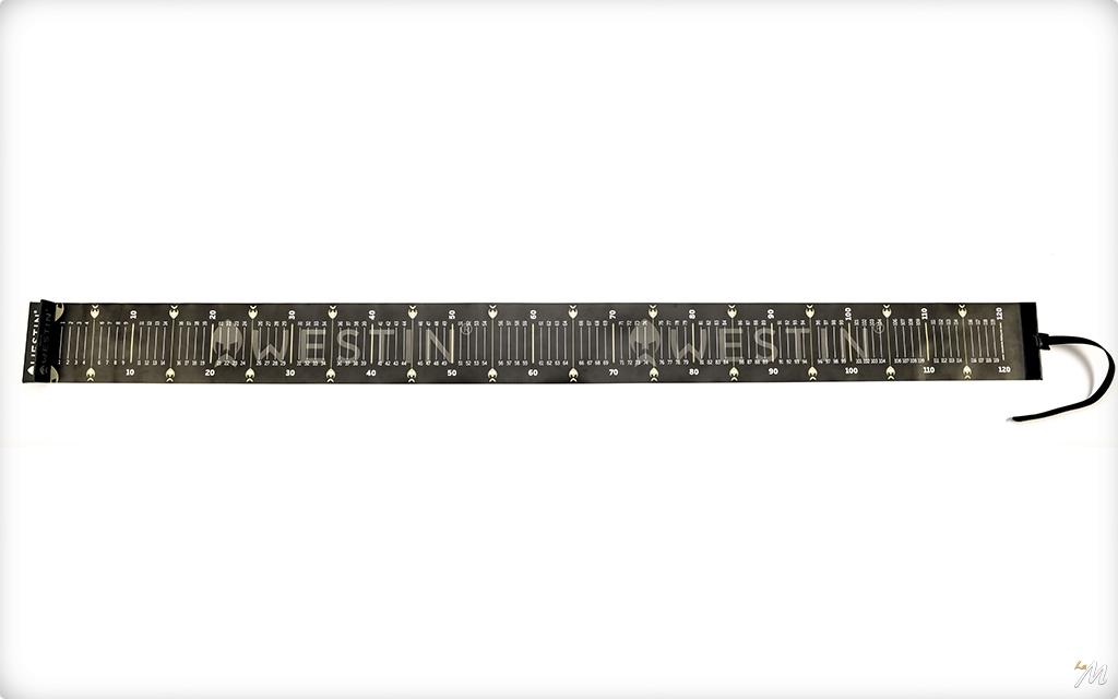 Westin F360 Cucchiaino Per Pesca - Esca Per Trota Di Mare E Merluzzo - 8 Cm / 20 G - Colore UV Pickled Sardine - Con Anelli Elastici