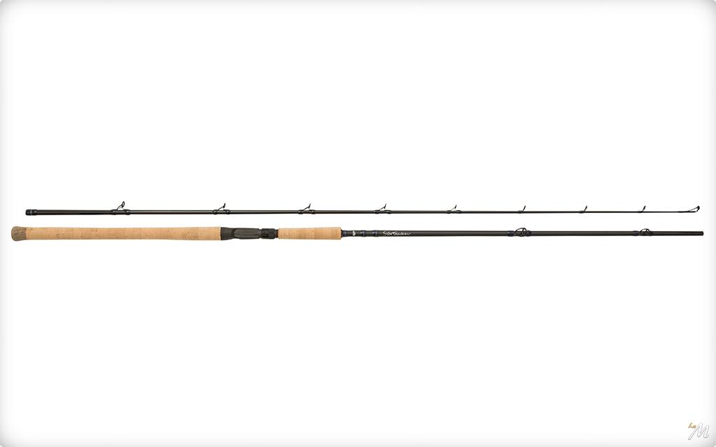 Abu Garcia Venturi Casting Canna Casting Pesca Lago Fiume Mare Artificiali