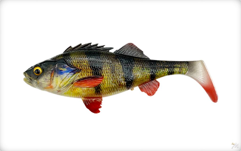 modello di mosca shad threadfin