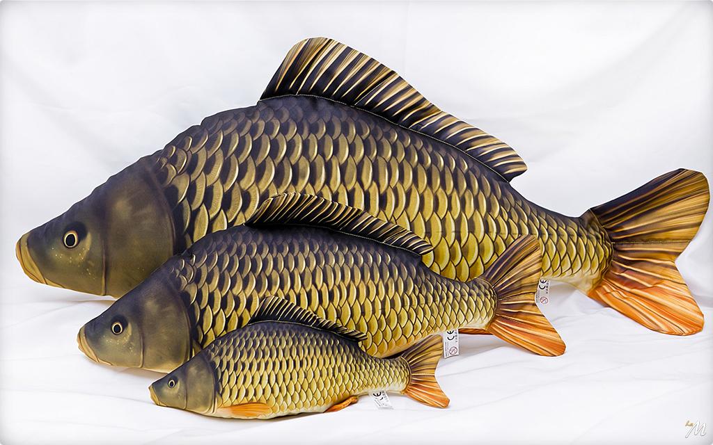 Cuscino Pesce Carpa