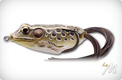 Hollow Body Frog
