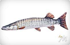 Cuscino Muskie