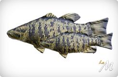 Cuscino Small Mouth Bass