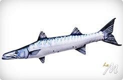 Cuscino Barracuda