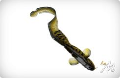 3D Burbot