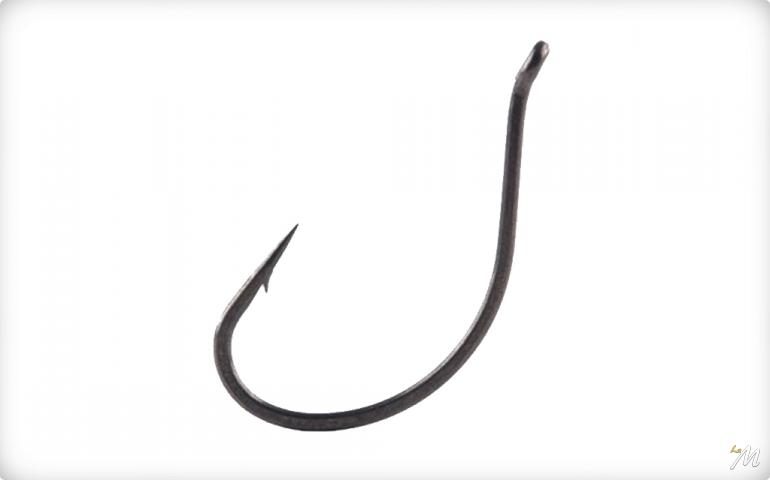 DSS-Worm