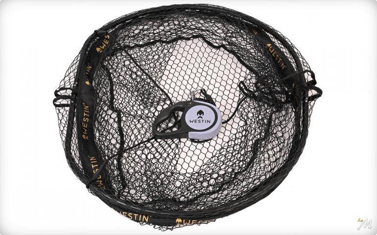 Guadino da Murata e Ponti