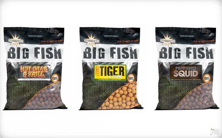 Big Fish Rage