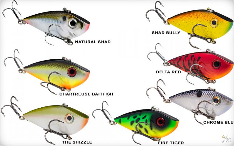 Red Eyed Shad