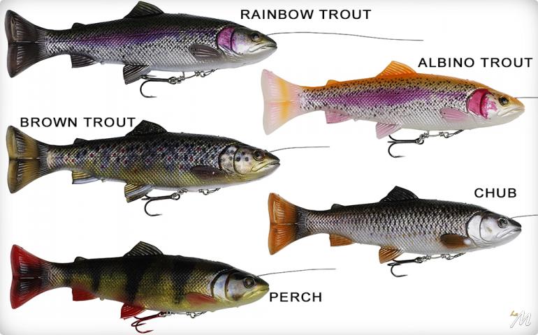 4D Line Thru Pulsetail Trout