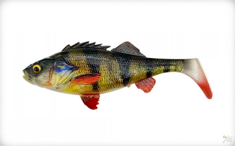 4D Perch Shad