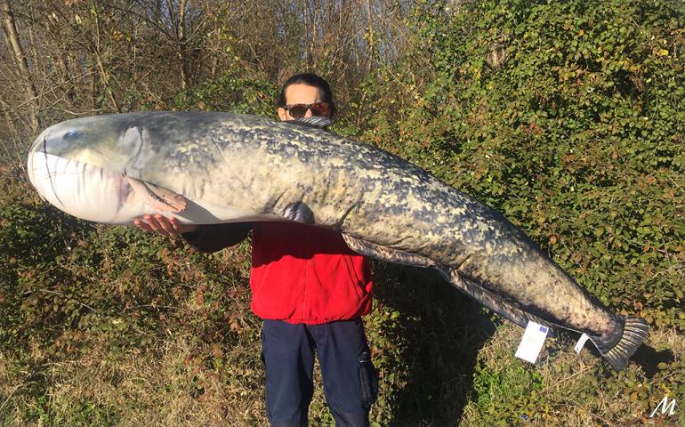 Cuscino Siluro World Record 200cm