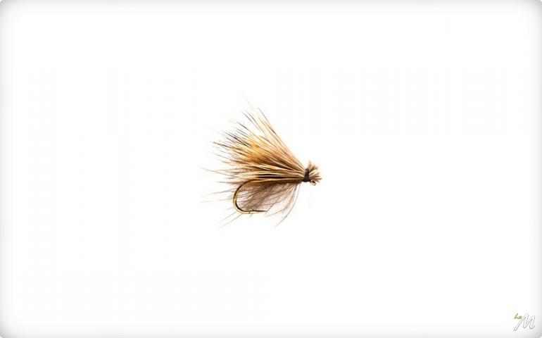 Sedge CDC Elk