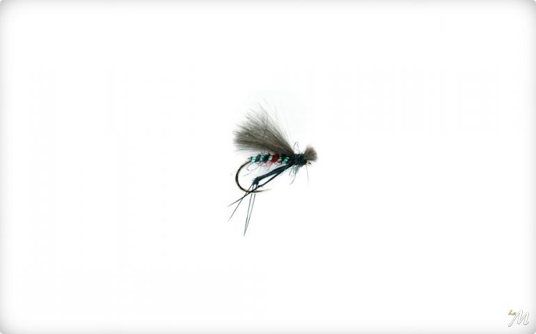 Hopper CdC Bibio