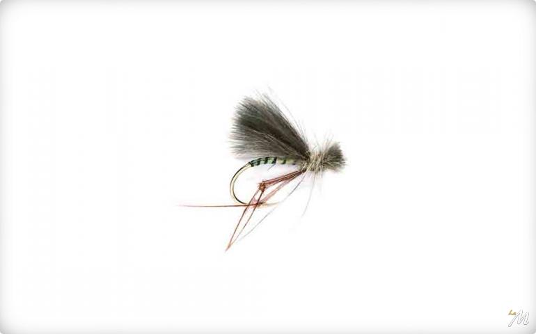 Barbless Hopper Cdc Barbless Hopper Cdc