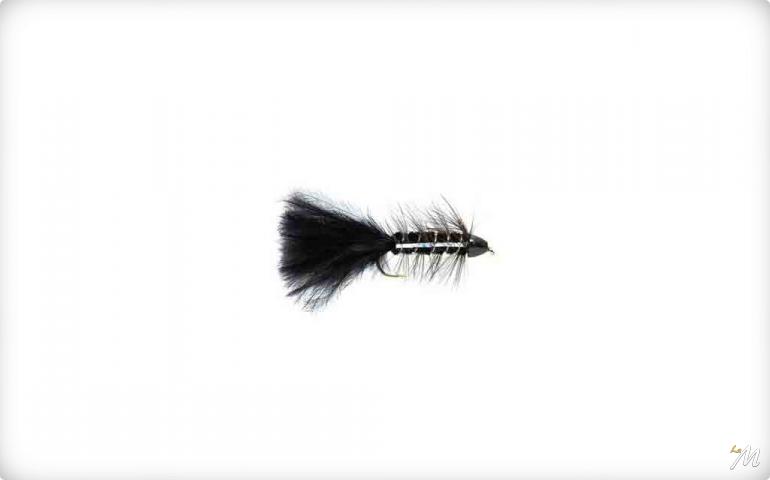 Golden Bullet Black Golden Bullet Black