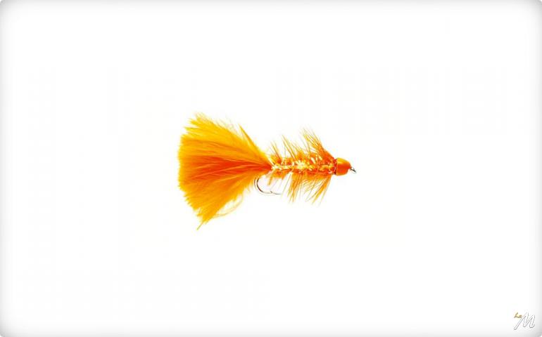Golden Bullet Orange Golden Bullet Orange