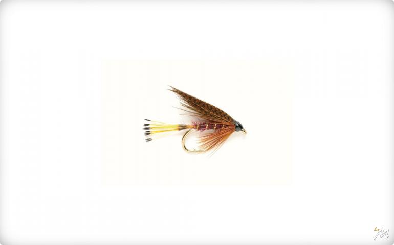 Mallard Claret
