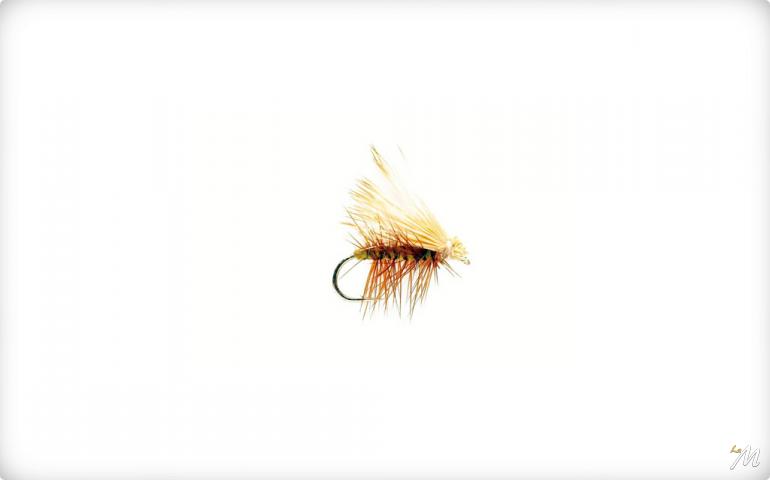 Sedge Elk Wing Olive