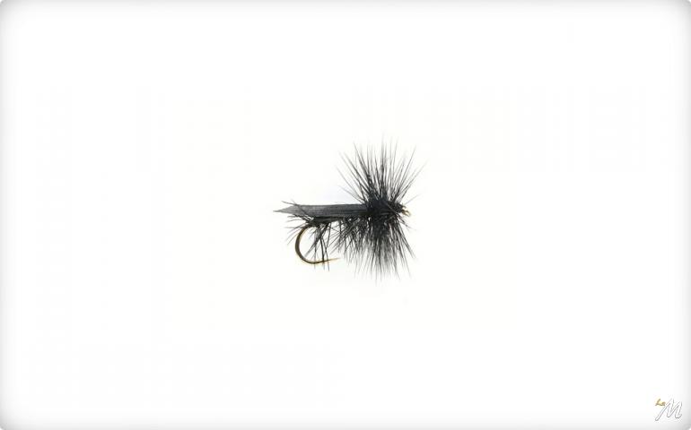 Sedge Black Sedge Black