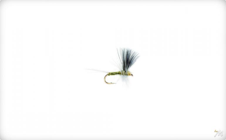 Blue Winged Olive Thorax
