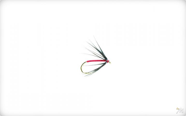 Spider Black