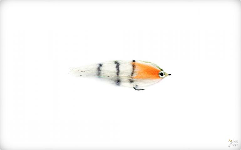 Fry Perch Fry FM Fry Perch Fry FM