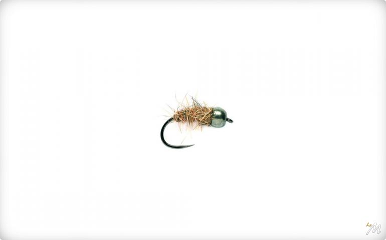 Hares Ear Black
