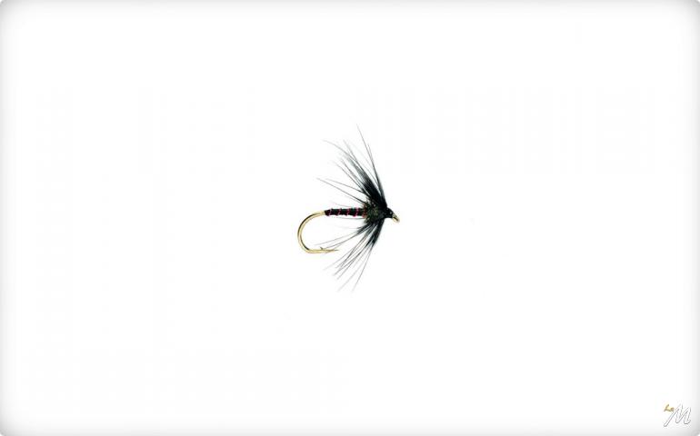 Spider Black Magic