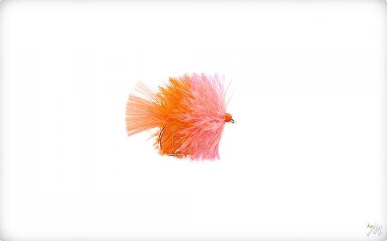 KJ Orange E Coral KJ Orange E Coral