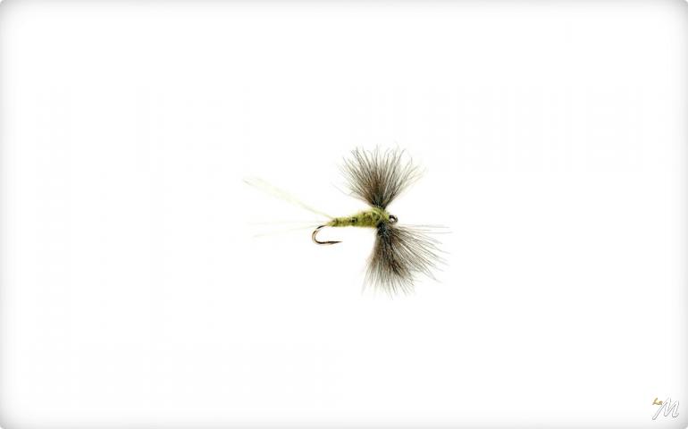 Olive Spinner CDC Olive Spinner CDC