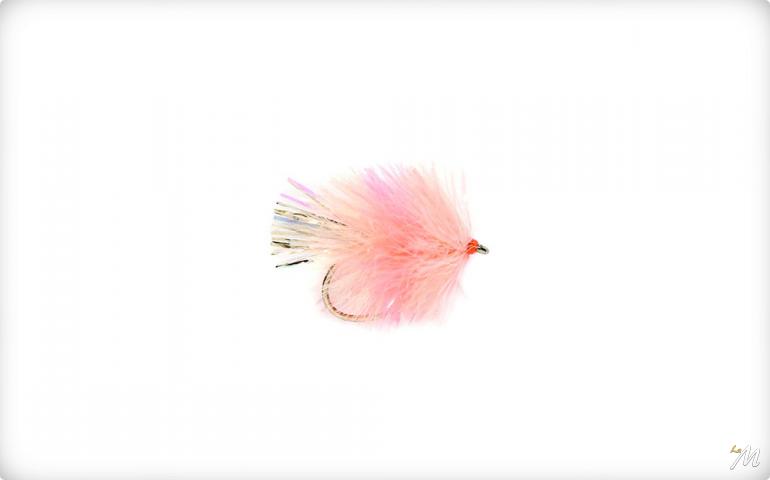 Blob Coral Blob Coral