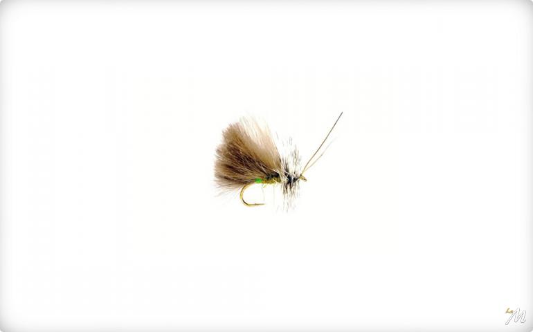 Sedge High Rider CdC Olive