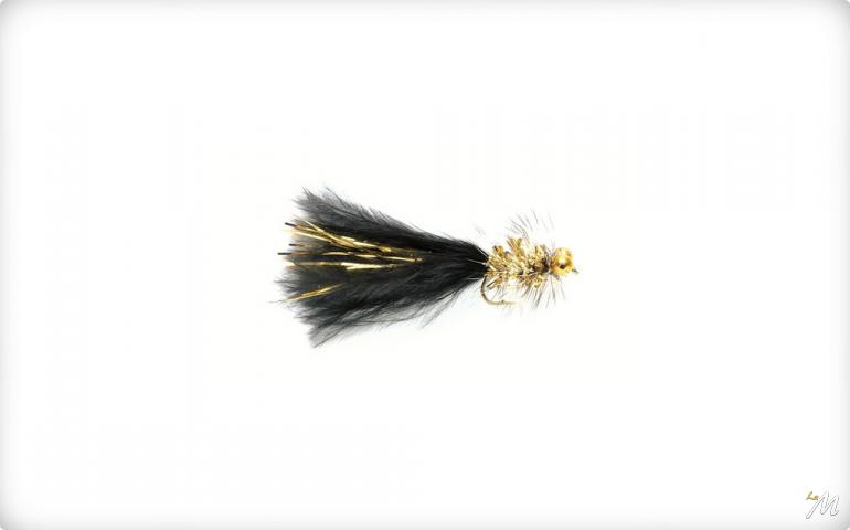 Gold Bead Eye Gold Bead Eye