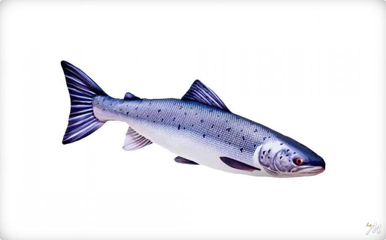 Cuscino Salmone 82cm Cuscino Salmone 82cm