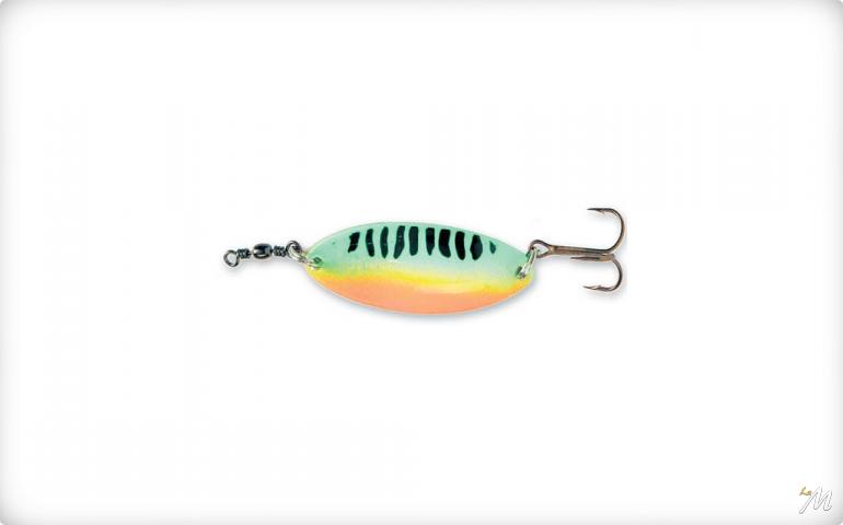 Perca Tigre Fluo Perca Tigre Fluo
