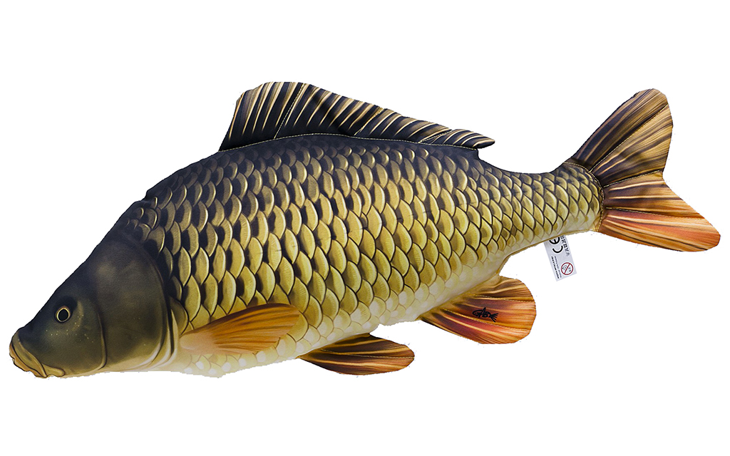 Il Bambino Piccolo Sta Con Un Pesca-NET Nell'acqua Immagine Stock - Foto 4